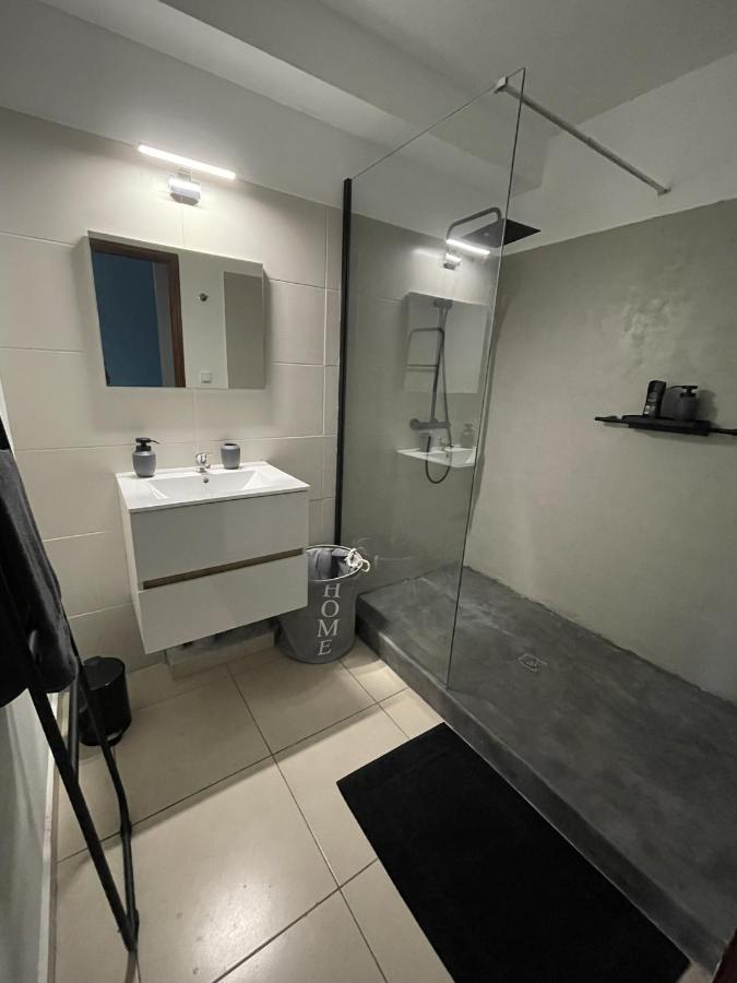 Апартаменти Loft Dionysien De Standing Сен-Дені Екстер'єр фото